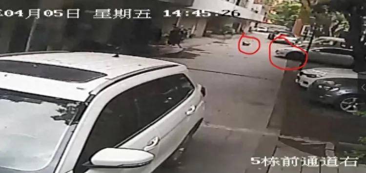 皇冠信用盘平台代理_特斯拉碾压幼童案二审维持原判皇冠信用盘平台代理，车主获刑10个月 车主：将考虑上诉