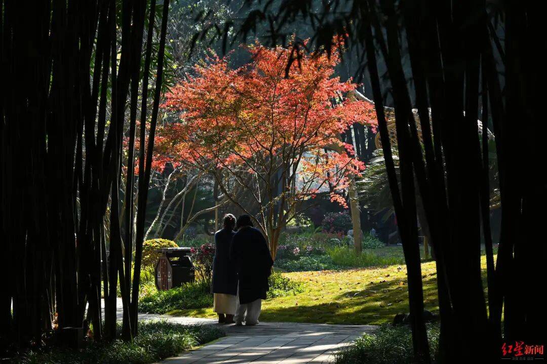 皇冠信用盘账号_我国已进入拉尼娜状态皇冠信用盘账号！四川今冬或“前暖后冷”