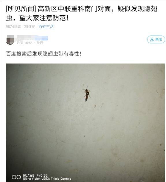皇冠信用盘_西安多区发现隐翅虫？千万别拍皇冠信用盘！毒液堪比硫酸